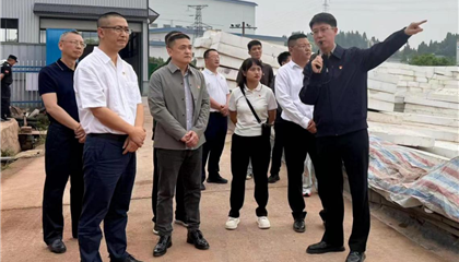 興業(yè)集團黨委開展“黨建引領(lǐng)聚合力 攻堅克難顯擔(dān)當”主題黨日暨現(xiàn)場教學(xué)活動