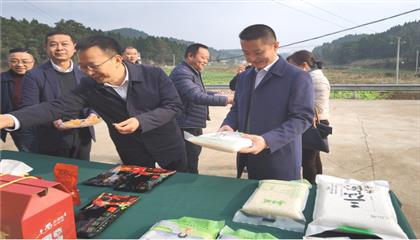 市委常委、政法委書記劉波濤帶隊(duì)調(diào)研指導(dǎo)定點(diǎn)幫扶村鄉(xiāng)村振興工作